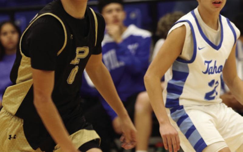 Bold Gold, Lady Lopes athletic year-end review