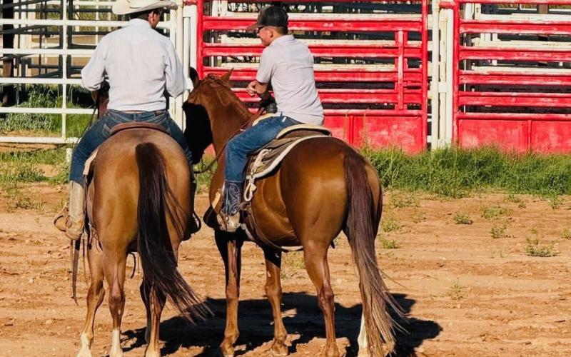 RANCH HORSE CLINIC Garza County 4-H held a Ranch Horse Clinic Sept. 21 at the Post Stampede Rodeo grounds. Clinician was Kolton Wink. In attendance were Kennedy Beck, Grady Dorsett, Kye Baker and Bella Hayek. The members worked on ranch horse skills such as rollbacks, spins, lead changes and more. | WHITNEY DORSETT PHOTOS