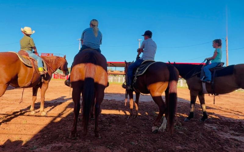 RANCH HORSE CLINIC