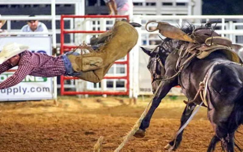 TRADITION CONTINUES Eight and a half decades of rodeos, boot-scooting dancing, tasty food vendors and a parade to boot! It all returns this week with the Post Stampede Rodeo. | COURTESY PHOTO