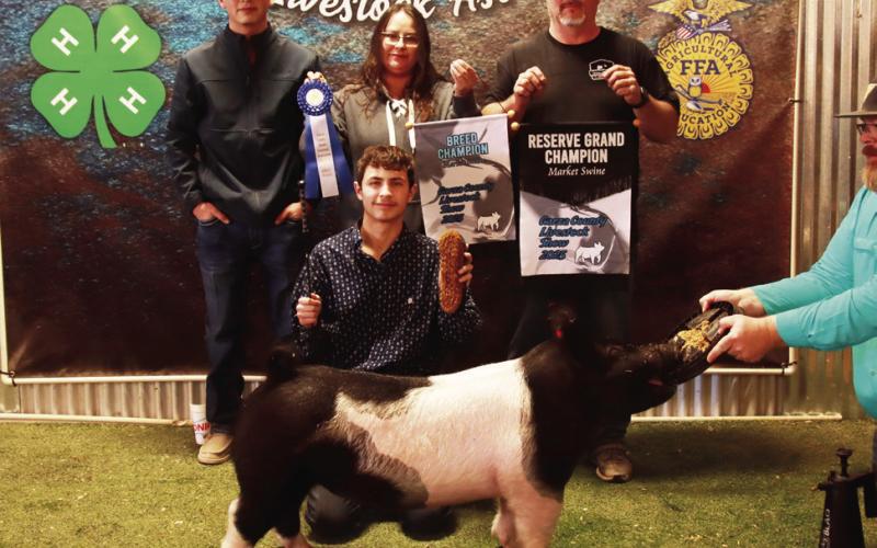 2025 POST JUNIOR LIVESTOCK SHOW RESULTS