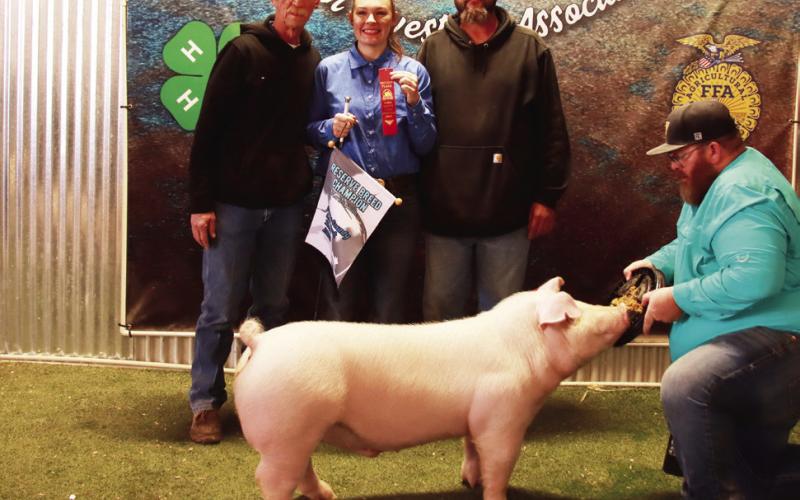 2025 POST JUNIOR LIVESTOCK SHOW RESULTS