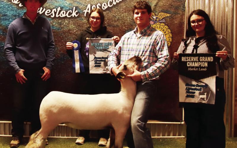 2025 POST JUNIOR LIVESTOCK SHOW RESULTS