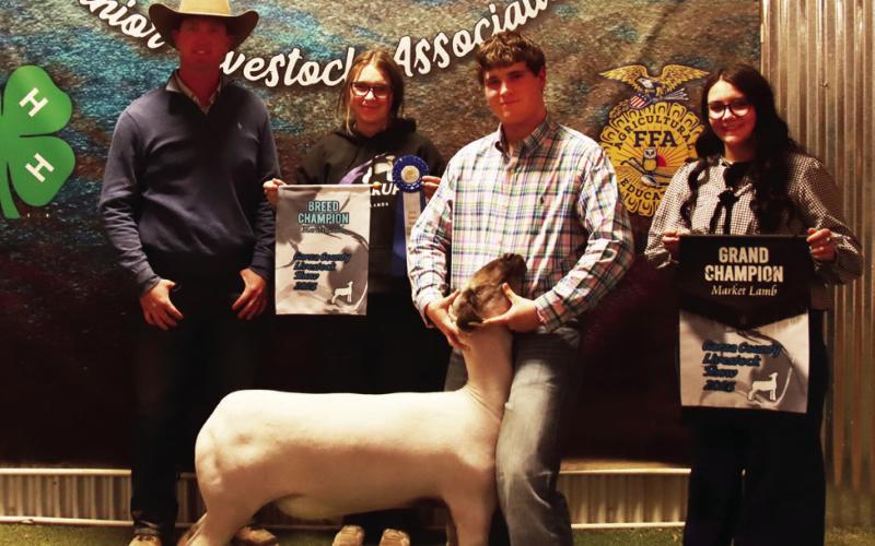 2025 POST JUNIOR LIVESTOCK SHOW RESULTS