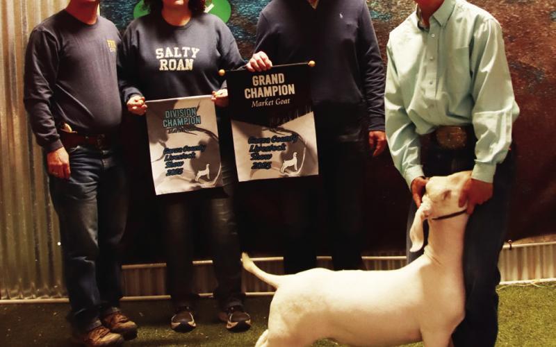 2025 POST JUNIOR LIVESTOCK SHOW RESULTS