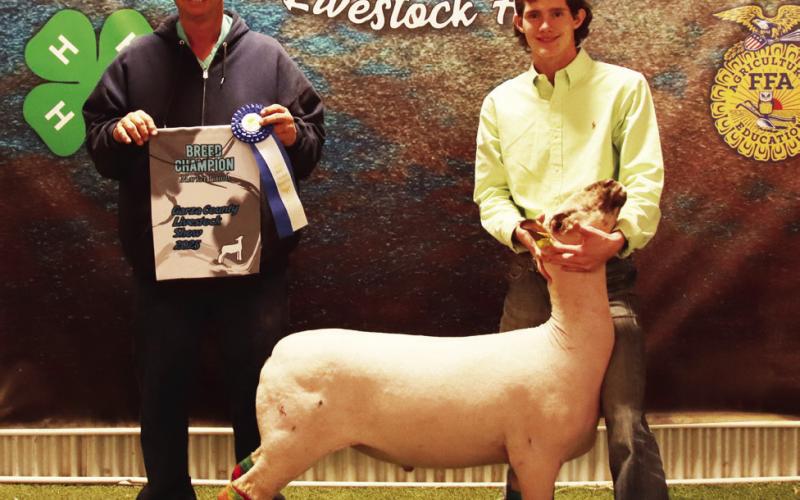 2025 POST JUNIOR LIVESTOCK SHOW RESULTS