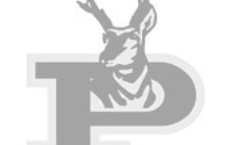 Antelopes outrun Mustangs to 48-15 victory, host New Home next
