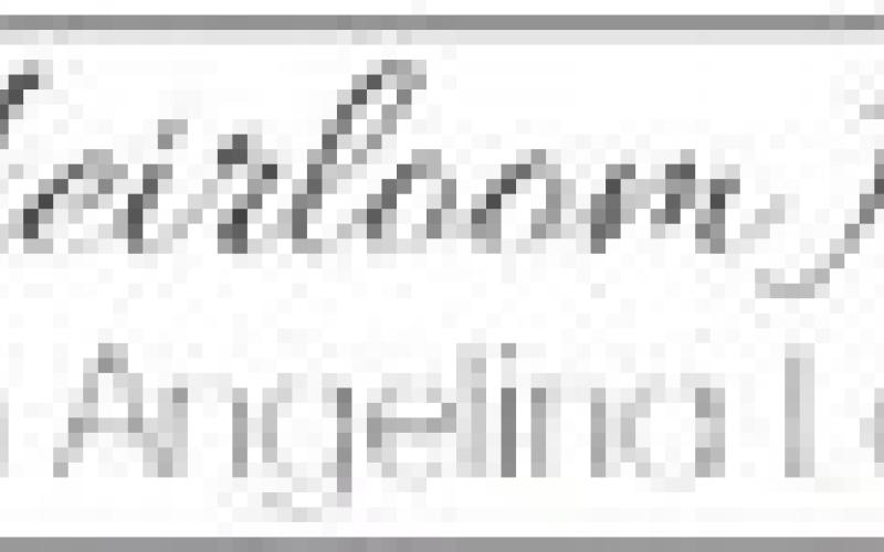 Alt Text for Image