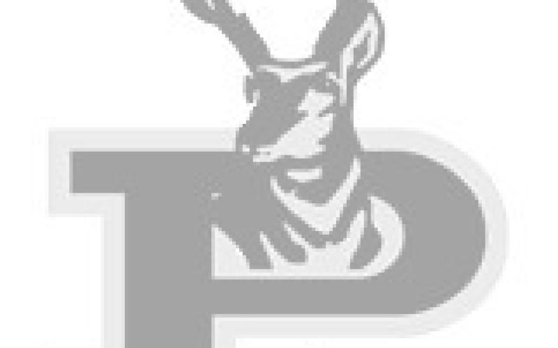 Bold Gold and Lady Lope basketball Thanksgiving recap