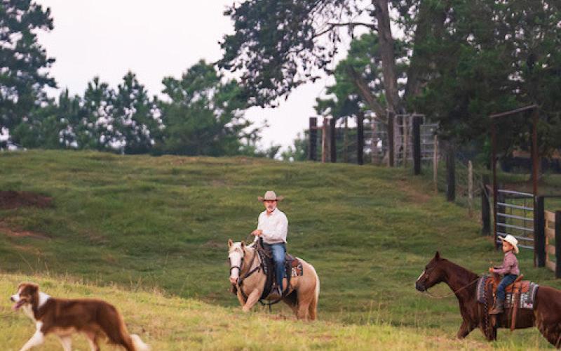 Registration is open for the Generation Next: Our Turn to Ranch, a 12-week online course offered by the Texas A&amp;amp;M AgriLife Extension Service on Jan. 26-April 19. The course provides instruction on starting a new agriculture business or enterprise as well as land management. | HANNAH HARRISON/ TEXAS A&amp;amp;M AGRILIFE