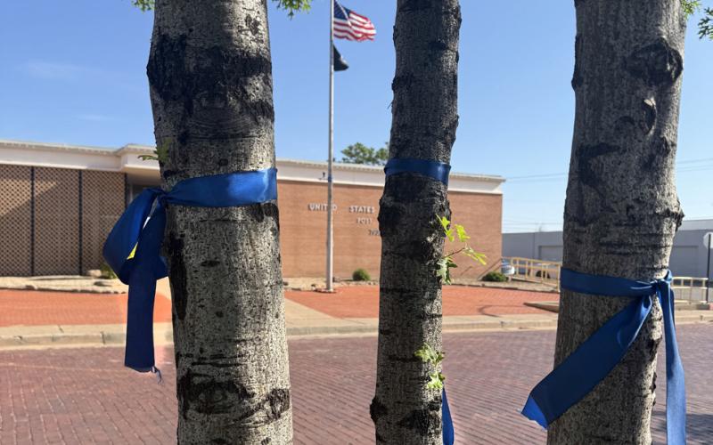 CHILD ADVOCACY Blue ribbons wrap trees along Main Street in Post as part of Child Abuse Prevention Month, a community-wide effort to raise awareness and promote the protection and wellbeing of children in Garza County. | POST DISPATCH