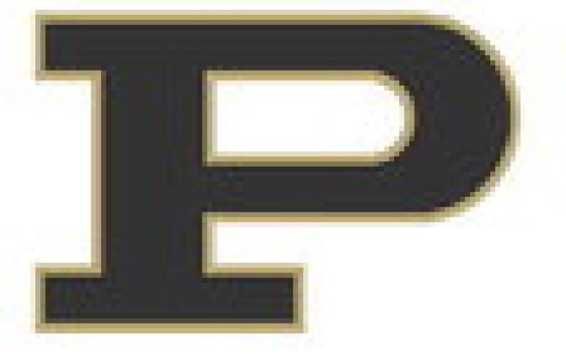 Bold Gold and Lady Lopes fall to New Home, shift focus to New Deal and Abernathy