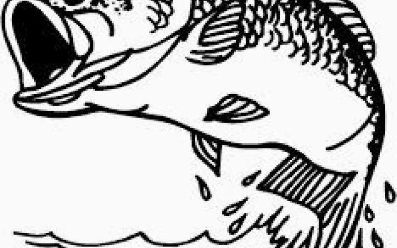 Area Fishing Report