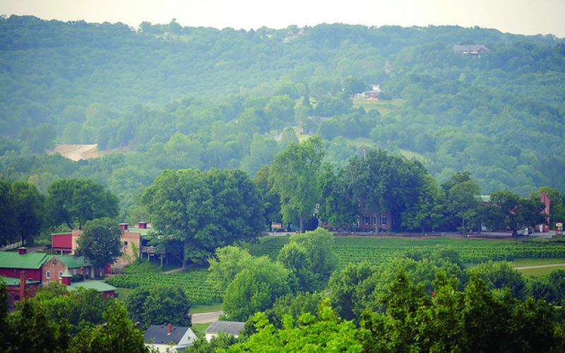 Stone Hill Winery, Missouri by Picasa 2.0 Photo Provided by Gus Clemens