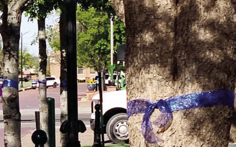 ABUSE PREVENTION Blue ribbons and pinwheels are symbols to help bring awareness to Child Abuse Prevention Month in April. | ANNA GIBSON PHOTO