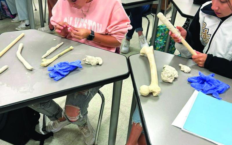 PHS Anatomy &amp; Physiology Class