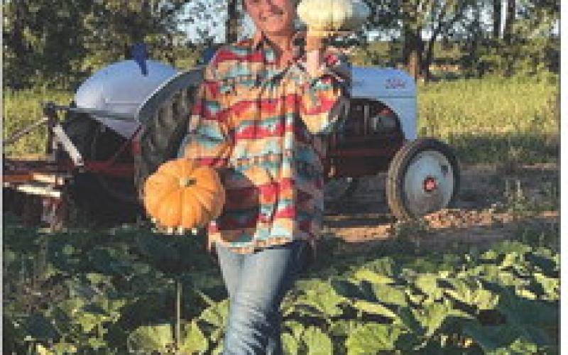 Welcome to my Pumpkin Patch