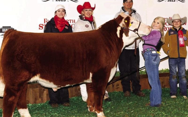 Macy Gilliland took 2nd Place Heavyweight Polled Hereford at the Fort Worth Stock Show &amp;amp; Rodeo! Macy is a member of Post FFA. Congratulations!