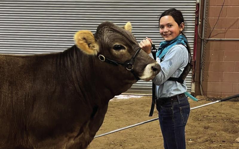 Congratulations Annie Basinger Reserve Grand Champion Braunvieh at San Angelo!! She also brought home a few 5th places with her other Braunvieh. Annie is a member of the Southland FFA.