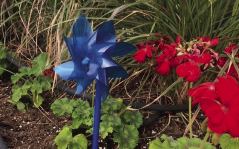 BLUE PINWHEELS