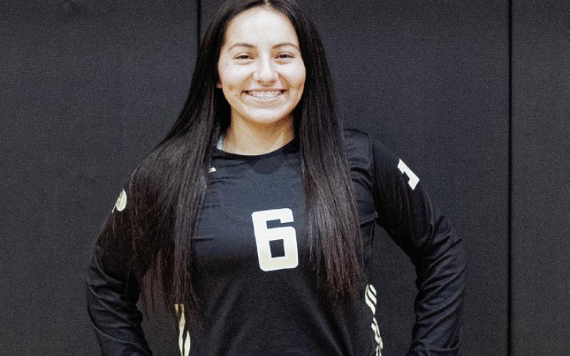 Post All District Honors