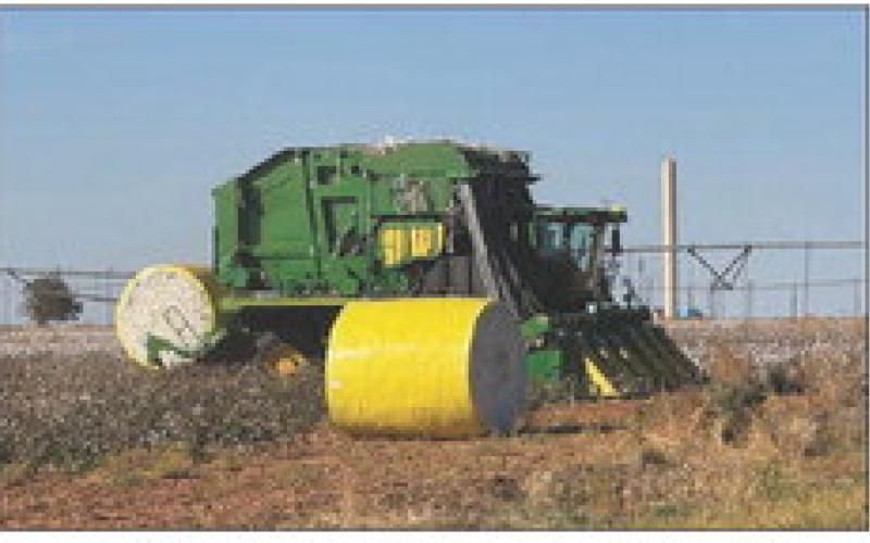 COTTON CROP across the Panhandle, South Plains and Rolling Plains is improved somewhat over past two years. Shown is harvest in progress last week at Rhineland, on the Rolling Plains in Knox County. | THE POST DISPATCH