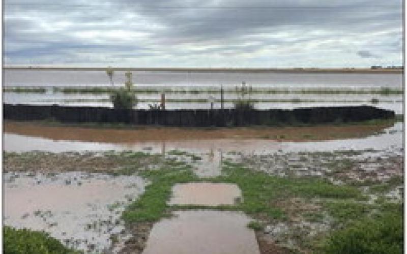 Lakes formed in areas off West 380 after 4.5 inches of rain fell in three hours. Driveways, yards, and roads were flooded, leaving the appearance of lakes throughout the area. After 5 inches of rain in the Close City community, lakes formed in most of the fields. Photo Provided