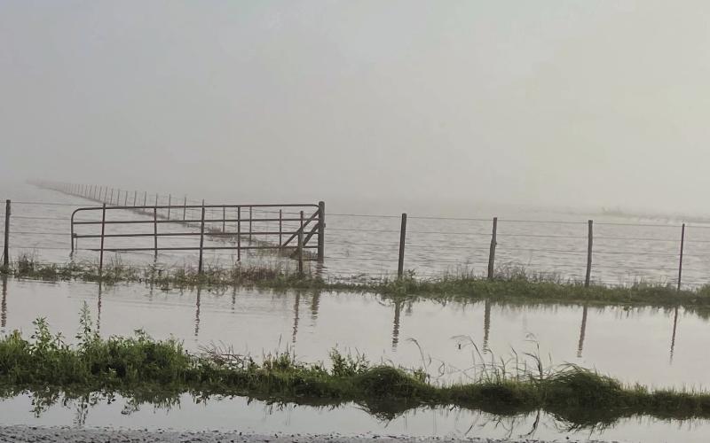 A typical scene on Friday morning after the downpour the previous day. Early morning fog, payla lake overflowing onto US 380. Photo Provided