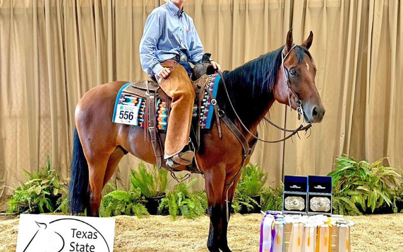 Right: Kasen Wink with his award ribbons and buckles for Reserve Champion Stock Horsemen and 1st place in Horse Trail