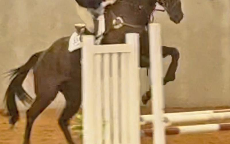 SPOTLIGHT ON GARZA 4-H AT STATE HORSE SHOW