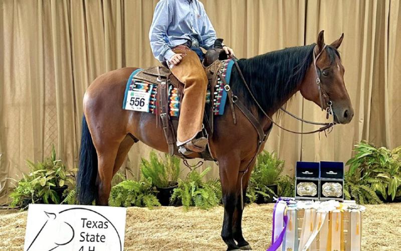 Photos at left: Kasen Wink and his horse Boon
