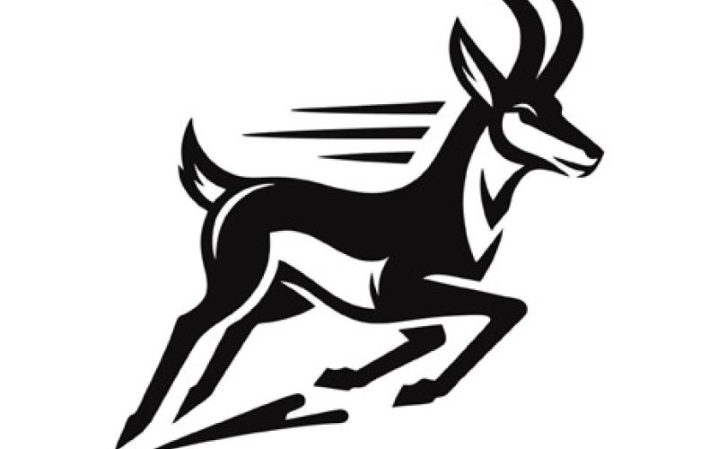Lady Lopes fall to Abernathy and Olton, prepare for Tahoka and Ropes this week