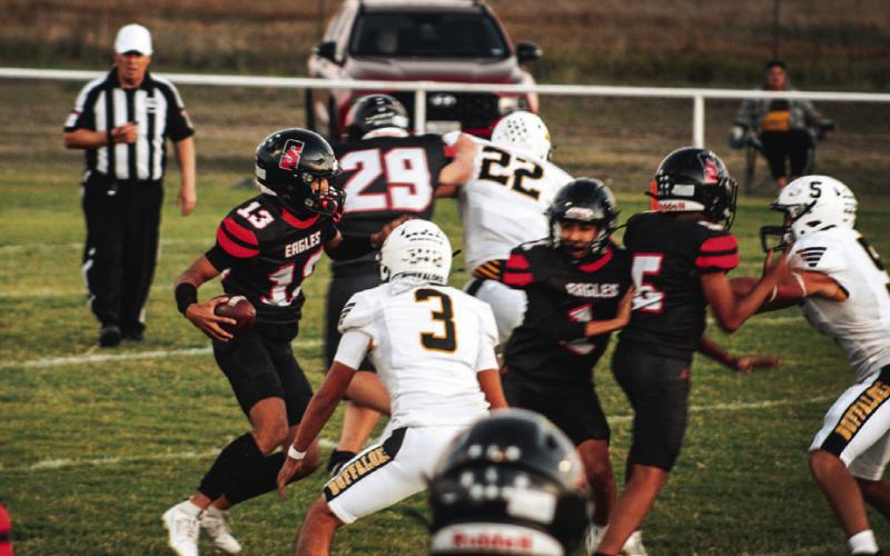 SPOTLIGHT ON SOUTHLAND HOMECOMING