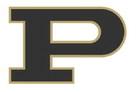 Bold Gold, Lady Lopes defeat Ralls