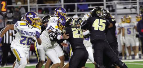SPOTLIGHT ON BOLD GOLD WIN VS SUNRAY
