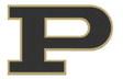  Bold Gold impresses at Andrews Classic