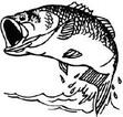 AREA FISHING REPORT
