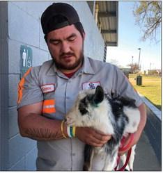 ON THE LOOSE Sunday afternoon, December 8, Dawn Graves found herself chasing a goat that has been on the loose since Saturday. A farmer from Lubbock lost the goat while traveling through town on his way to deliver the goat to a one-year-old's birthday. The goat was chased down to the Southlake Park bathrooms where animal-control Kaylon (pictured) was able to rescue and return it. | DAWN GRAVES PHOTO