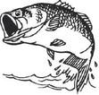 AREA FISHING REPORT