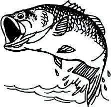 Area Fishing Report