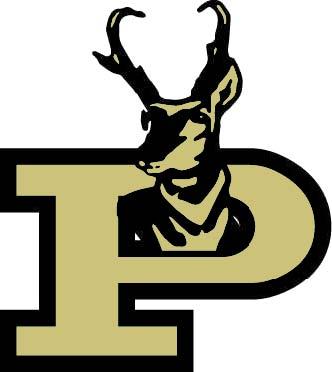 Bold Gold to take on New Deal in district opener