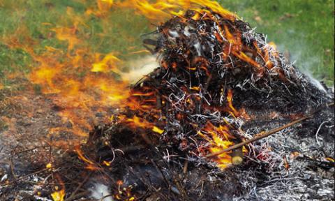 Outdoor burning: What to know before you light the match