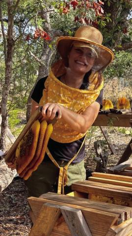TOP BAR BEES A Beekeeper examines bees in a Top Bar Hive. A class teaching about Top Bar Hives will be held on March 1 in Brenham, TX. | COURTESY PHOTO