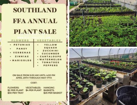 SOUTHLAND FFA PLANT SALE