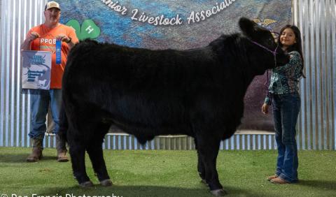 GRAND CHAMPION ABC STEER AUBREY MENCHACA