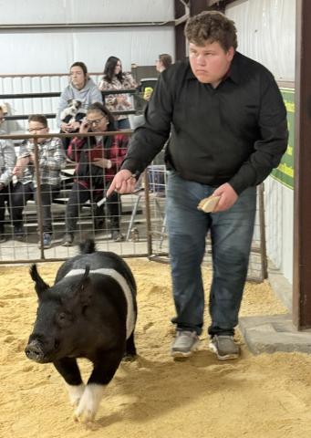 Southland Livestock Show highlights youth achievement and hard work