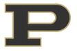 Bold Gold and Lady Lopes