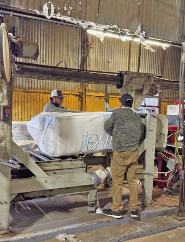 West Texas cotton: high quality, low prices challenge local producers