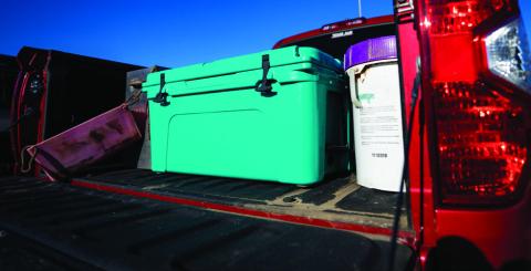 Experts advise not to leave valuable items in the pickup bed as stock show season soon begins. Texas A&amp;M AgriLife photo by Sam Craft