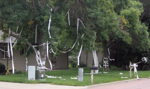 Spooky insurance claims: Are Halloween tricks covered?